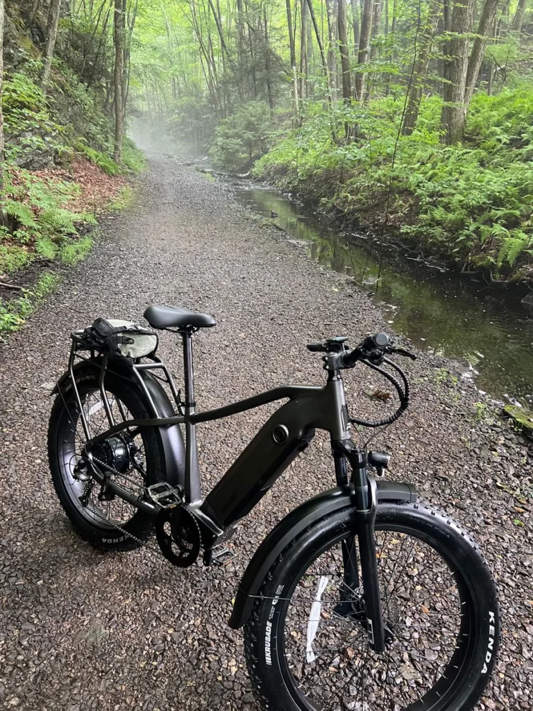 Image #1 from Stephen