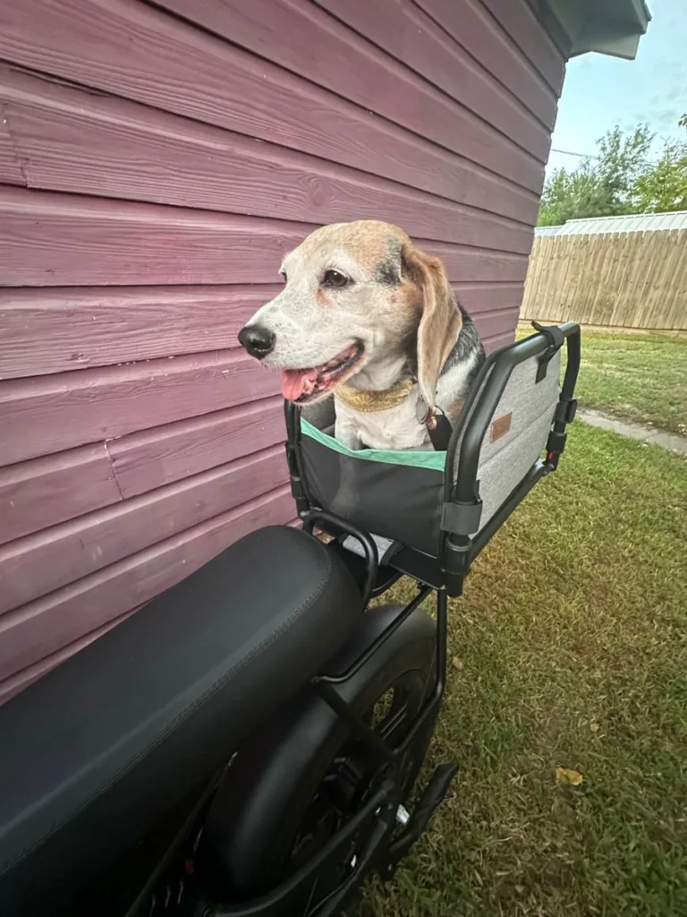 Image #2 from William J.